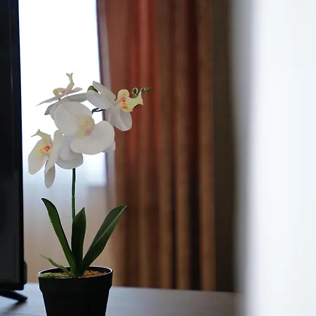 Doanesia Premium & ホテル