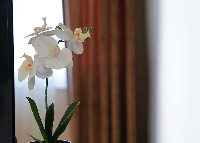 Doanesia Premium & Hotel